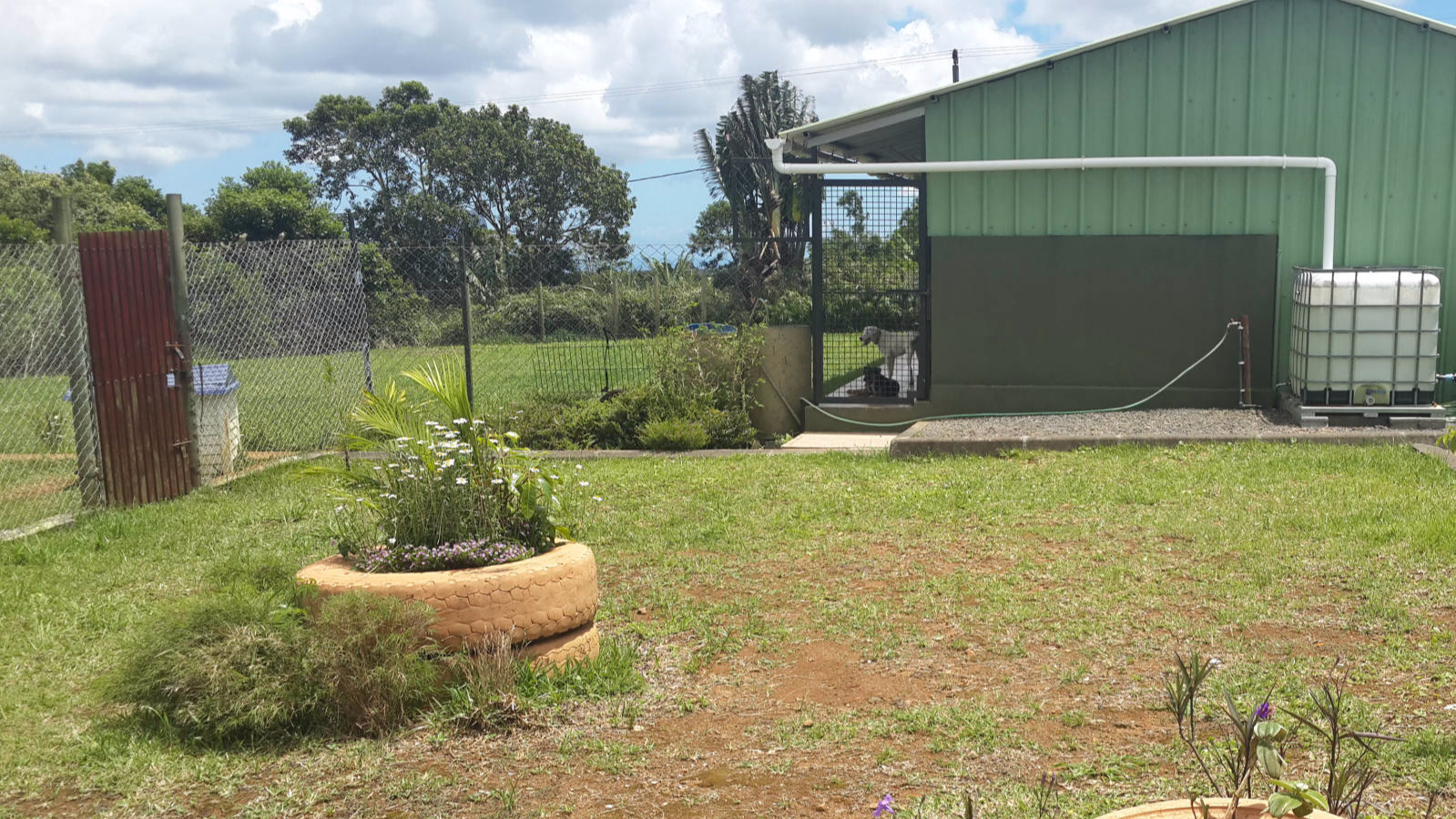 View over Main Kennels